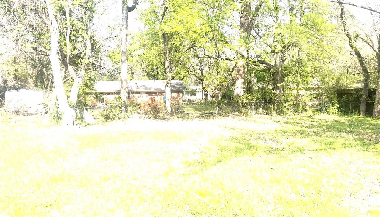 420 Bayou Oaks Dr - Photo 4 of 7