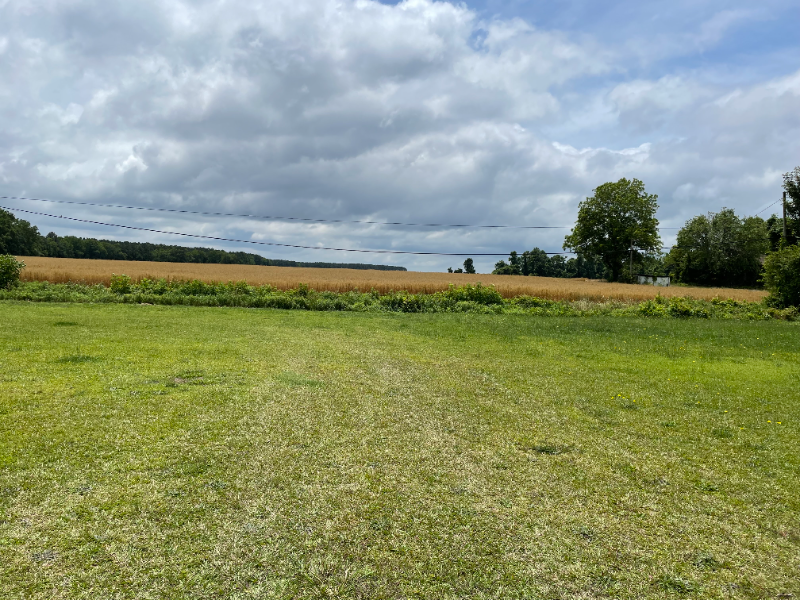 783 Nc Highway 33 W - Photo 5 of 16