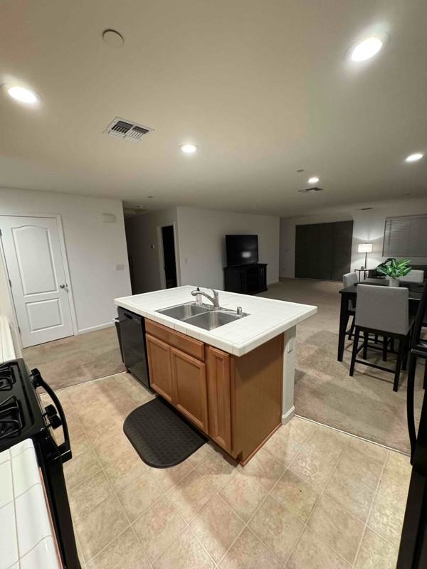 1335 Meadow Ranch St - Photo 5 of 7