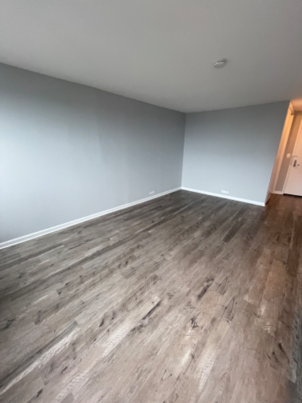 1171 S Michigan Ave - Photo 5 of 8