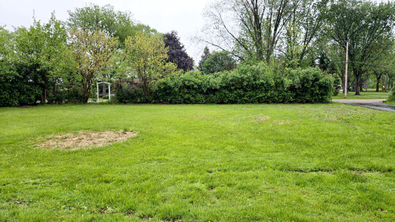 41270 N Bayside Dr - Photo 4 of 22