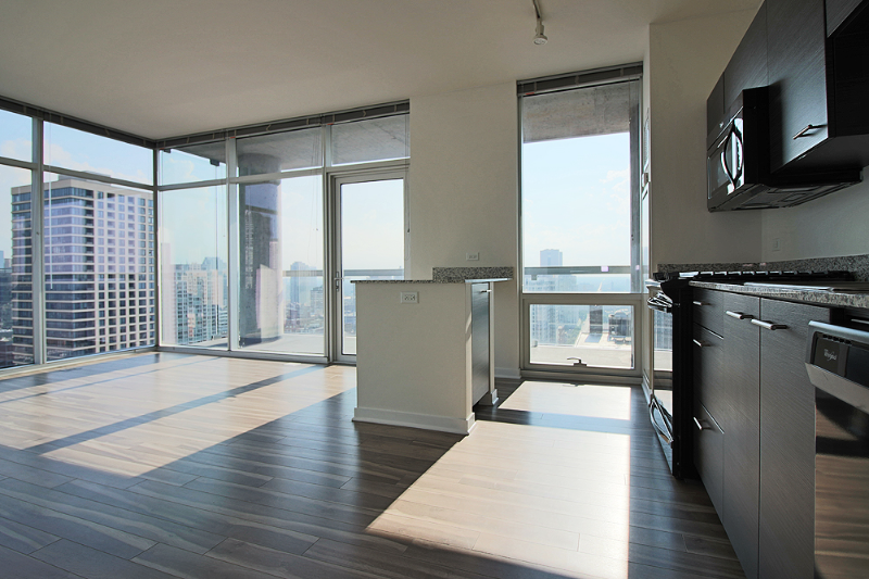 865 N La Salle Dr - Photo 3 of 16