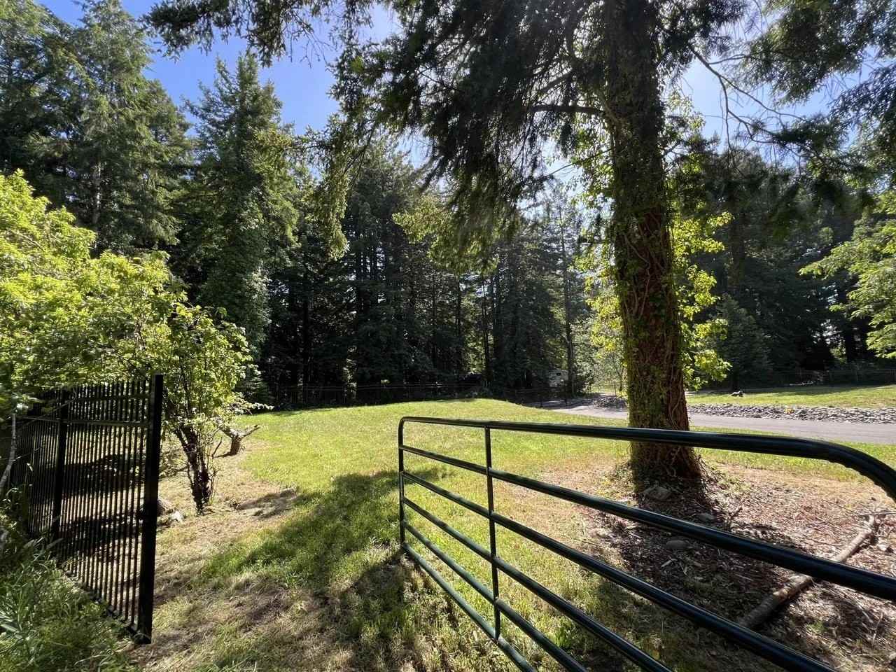 3331 Rancheria Rd #MAIN - Photo 3 of 20