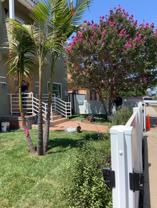 5234 W 20th St Lowr - Photo 1 of 1