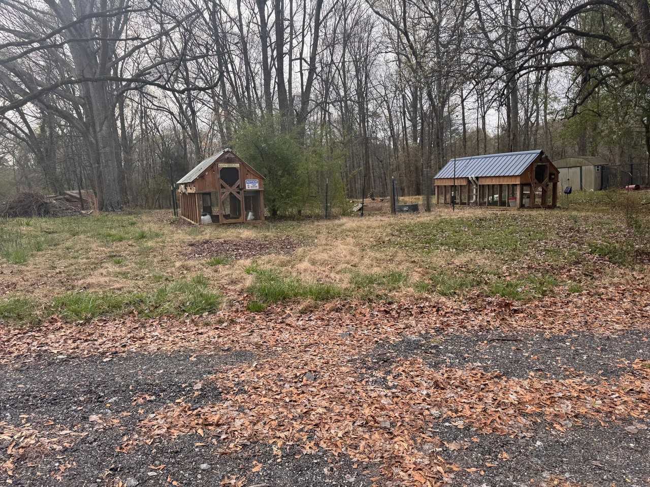 1700 Harris Bridge Rd - Photo 3 of 16