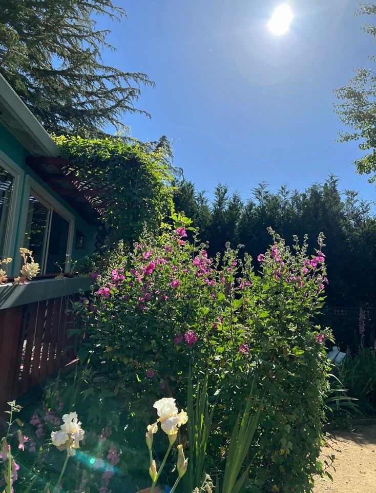 14717 Carrier Ln - Photo 3 of 7