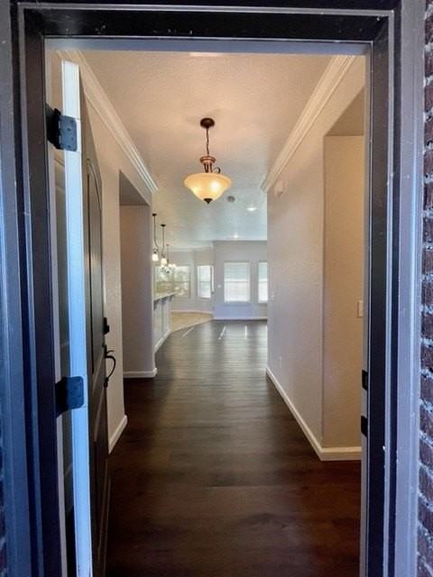 1053 Tarah Knolls Cir - Photo 6 of 28