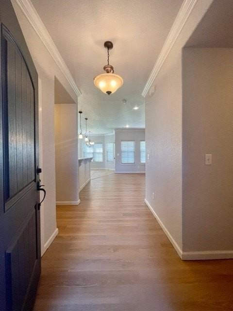 1053 Tarah Knolls Cir - Photo 7 of 28