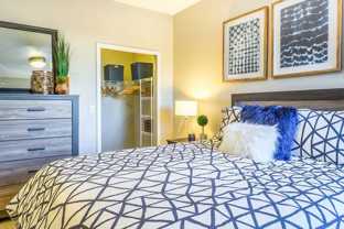 Regatta - Photo 1 of 1