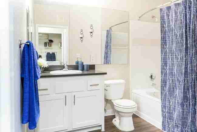 Regatta - Photo 5 of 41