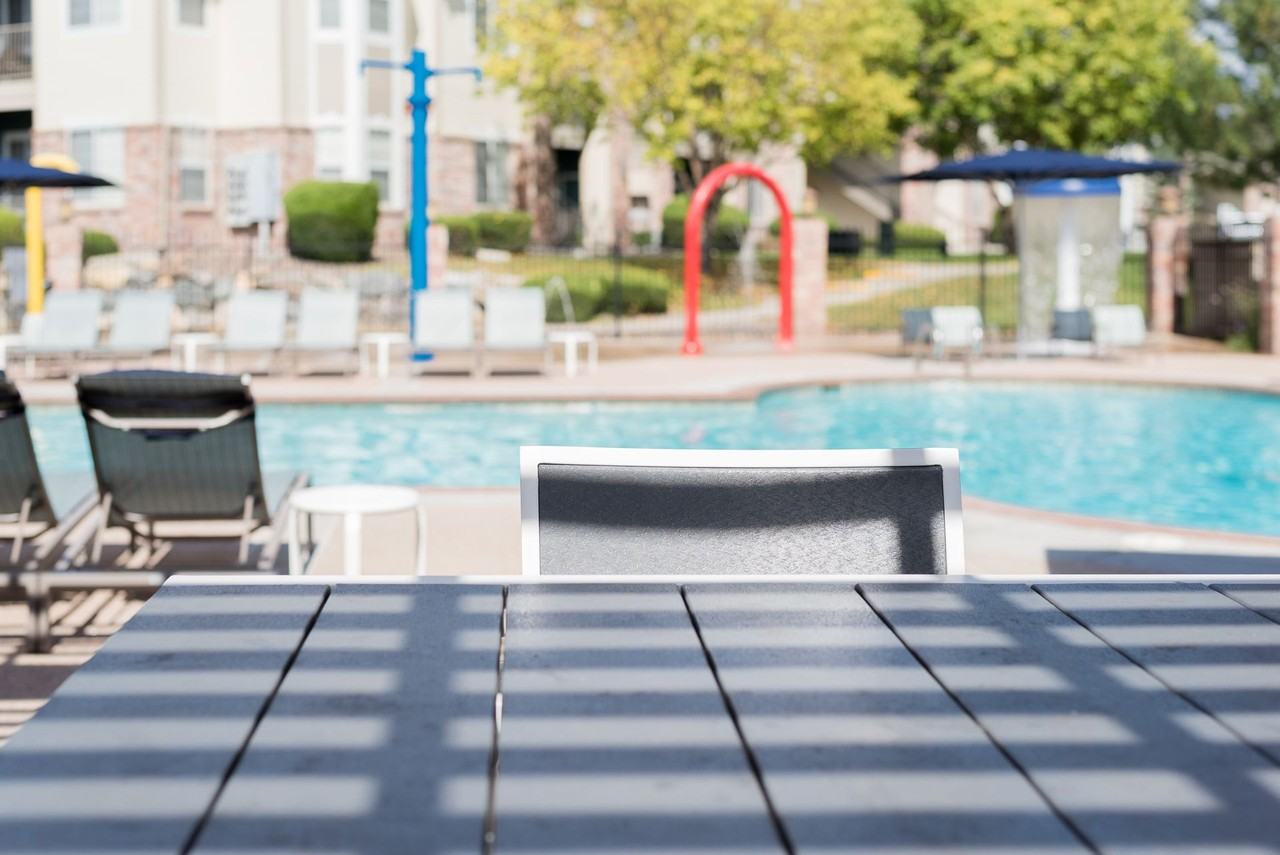 Regatta - Photo 7 of 41