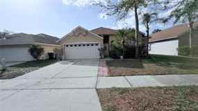 10216 Oasis Palm Dr - Photo 1 of 1