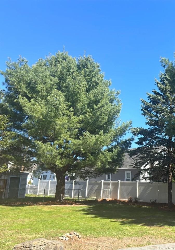 51 Canal St #3 - Photo 4 of 14