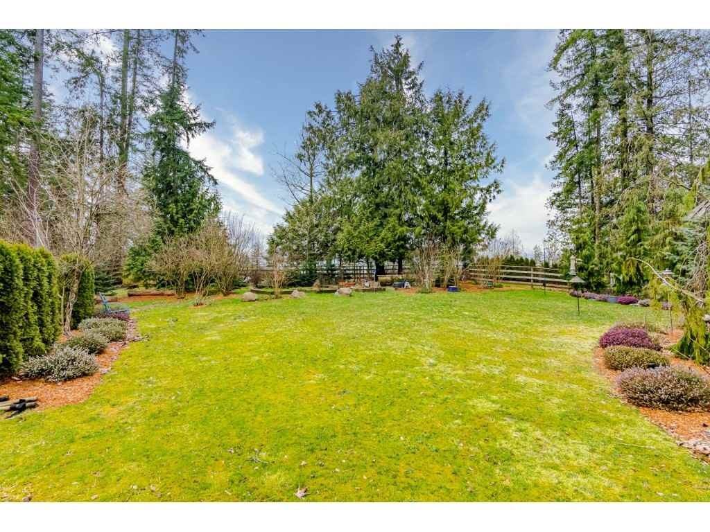 20932 36 Avenue - Photo 6 of 9