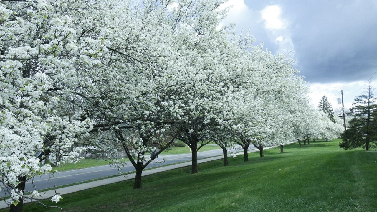 Stevens Manor Apartments - Photo 3 of 10