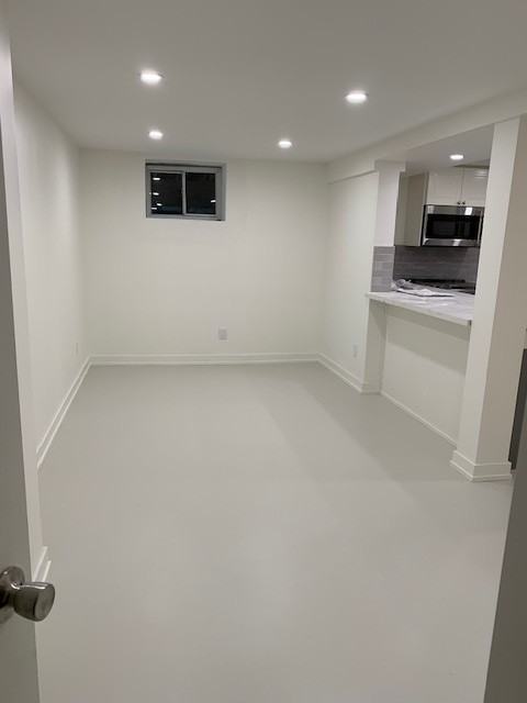 Bsmt - 78 Wilson Park Road - Photo 4 of 16