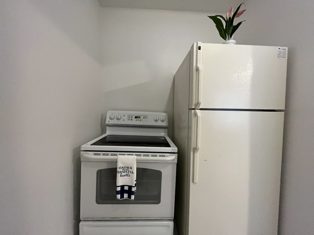 HOLLYWOOD LITTLE RANCHES 2303  (SOL Y VIENTO, LLC) - Photo 3 of 8