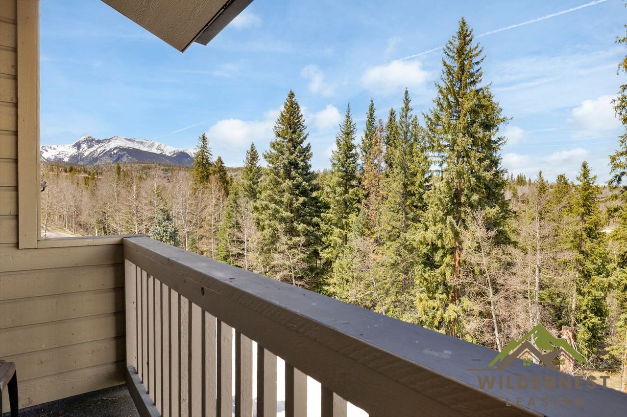 4020 Silverheels Dr - Photo 2 of 41