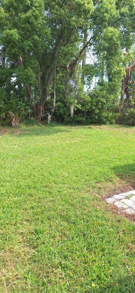 34747 Double Eagle Ct - Photo 6 of 8