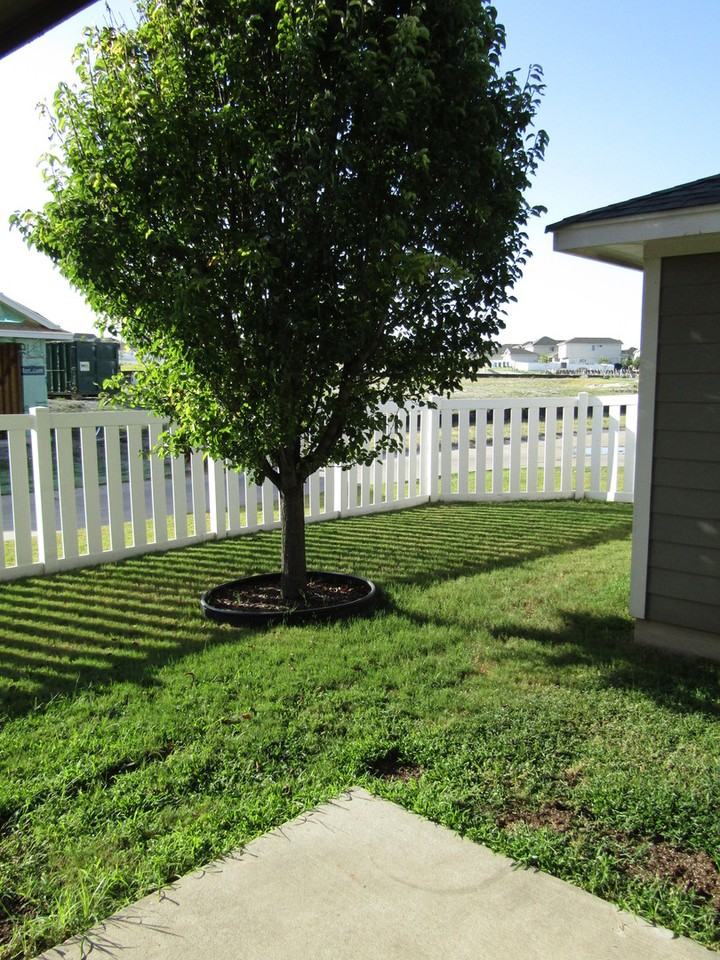 408 N Cascades Ave #1 - Photo 4 of 20