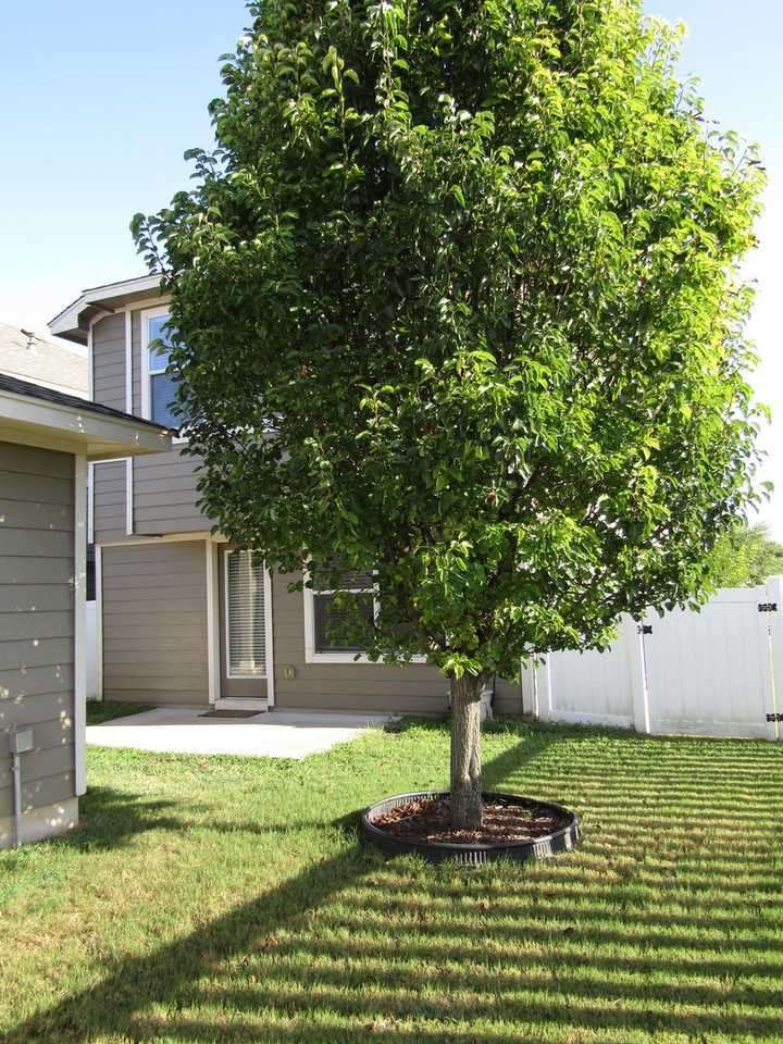 408 N Cascades Ave #1 - Photo 6 of 20