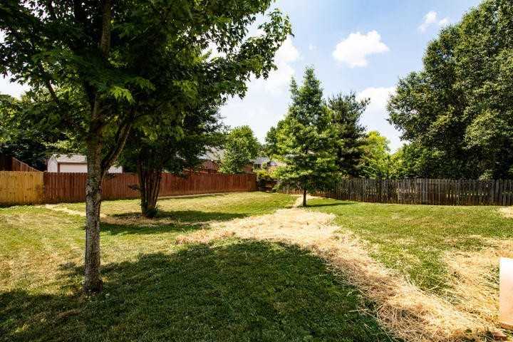 8816 Mill Run Dr - Photo 3 of 18