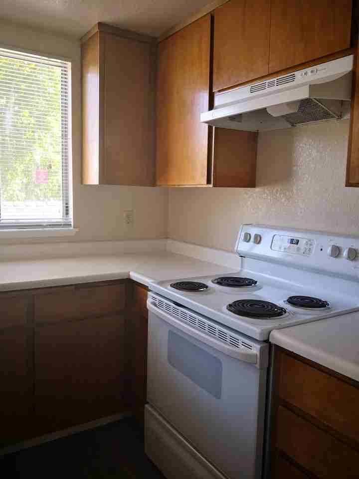 1023 Chadwick Cir - Photo 5 of 21