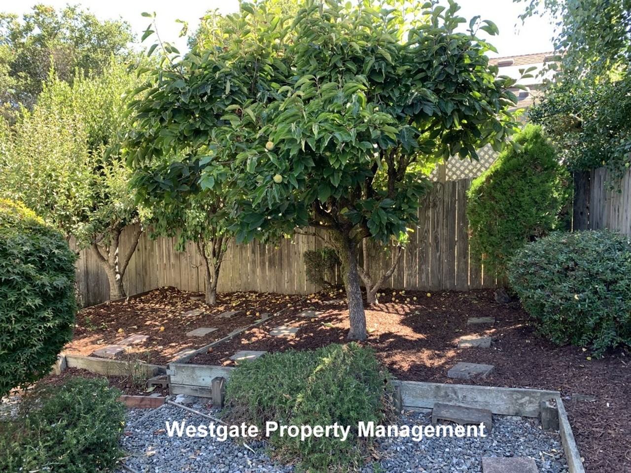 1160 Birch Dr - Photo 3 of 17