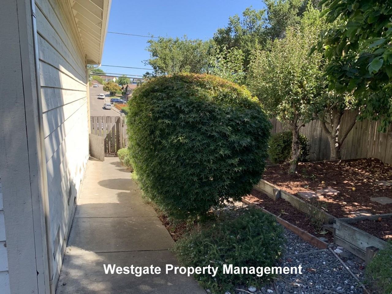 1160 Birch Dr - Photo 4 of 17