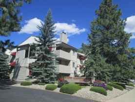 Country Homes Court Apts - Photo 1 of 1