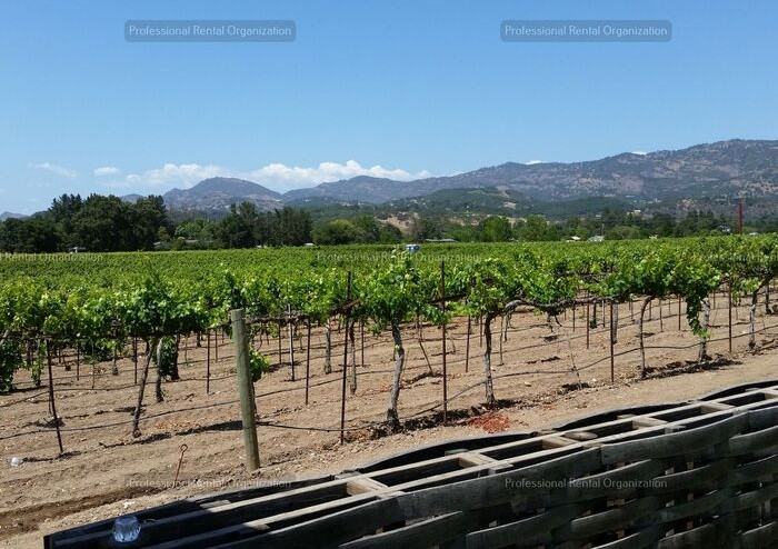 4111 Silverado Trl - Photo 3 of 21