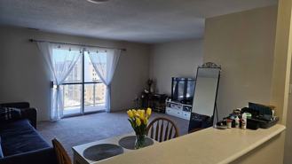 11 Saint Michael Road - Photo 1 of 1