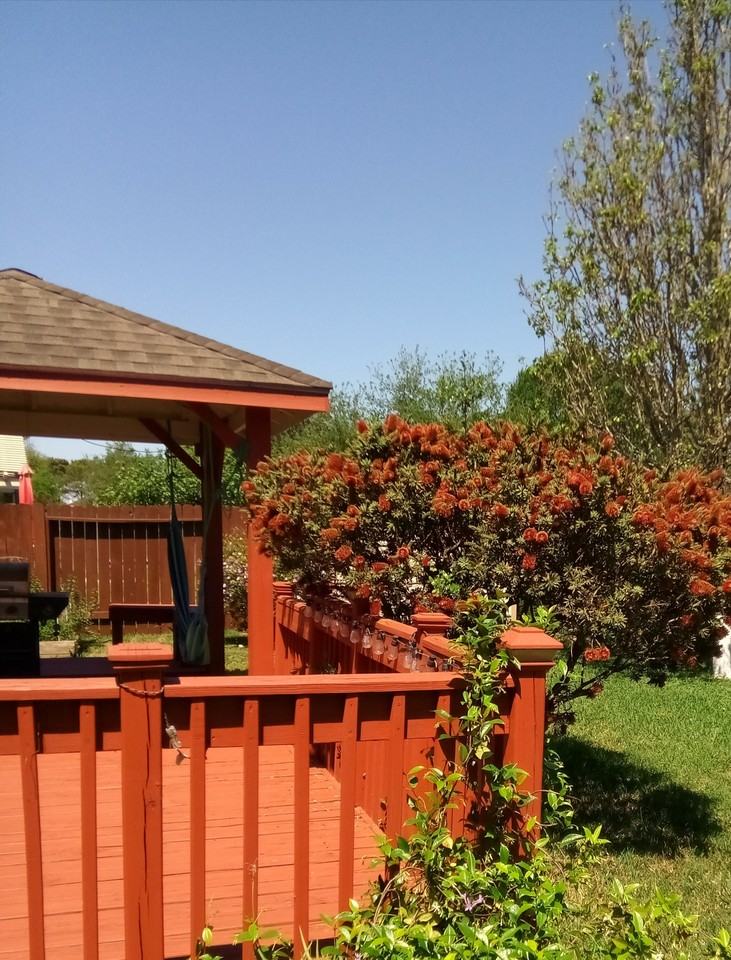 2131 Lakewind Ln #NA - Photo 2 of 18