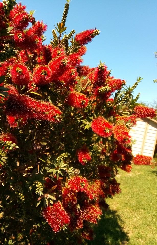 2131 Lakewind Ln #NA - Photo 3 of 18