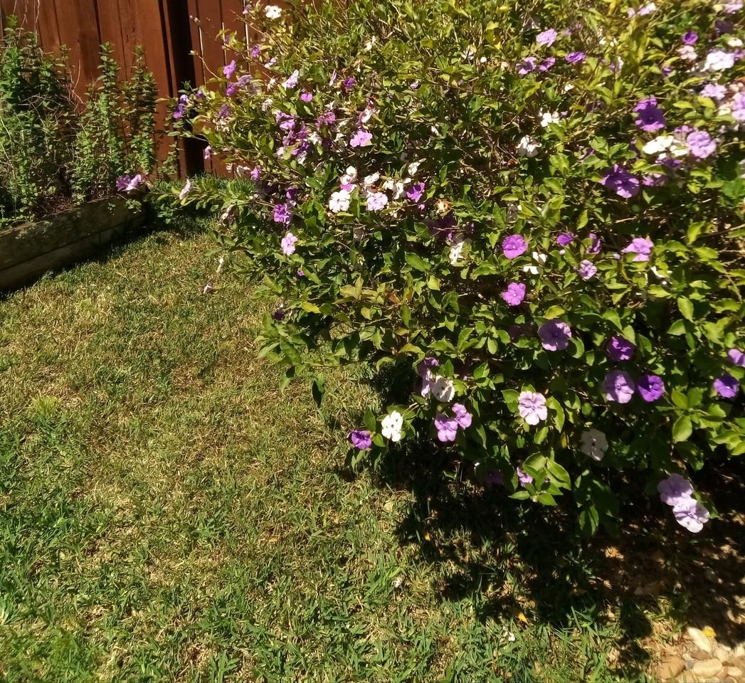 2131 Lakewind Ln #NA - Photo 4 of 18