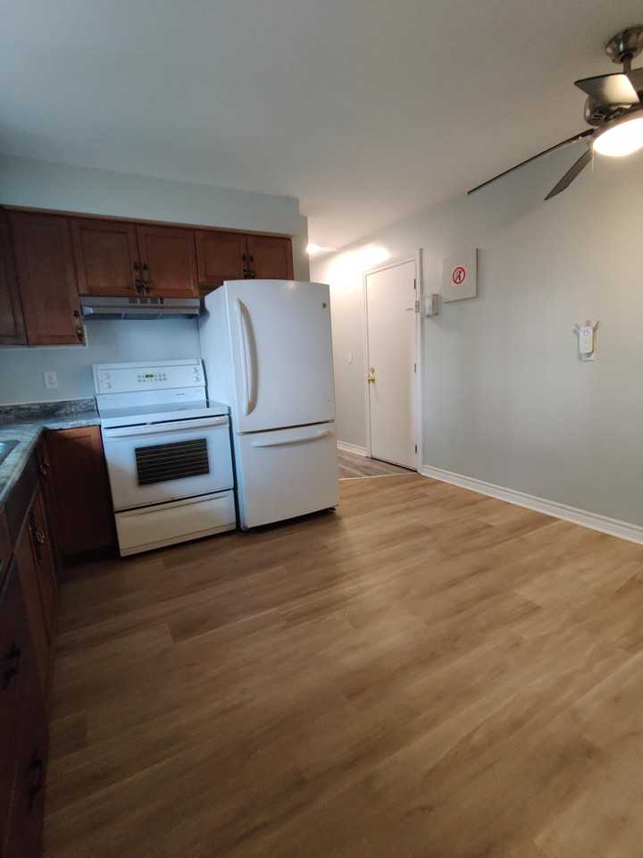 234 Brock Street #6 - Photo 7 of 7