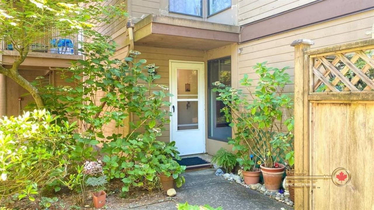 8686 Centaurus Circle - Photo 5 of 17