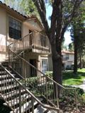 10343 Azuaga St - Photo 1 of 1