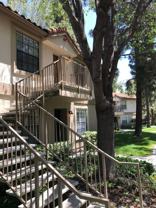 10343 Azuaga St - Photo 1 of 1