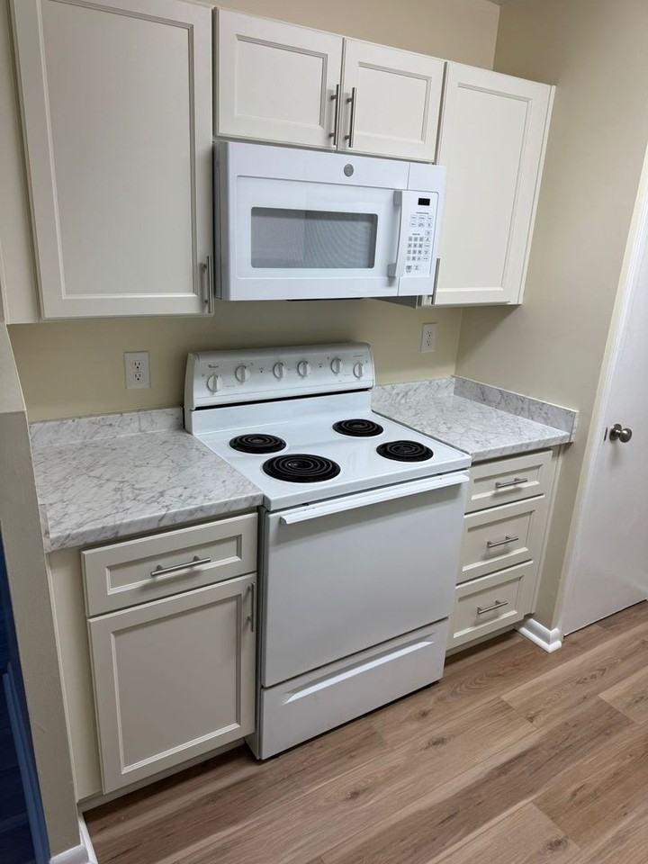 102 Turtle Creek Rd - Photo 4 of 17