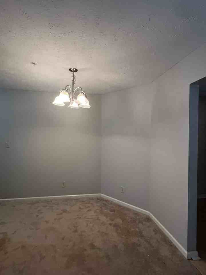 309 Waterdown Dr - Photo 4 of 12