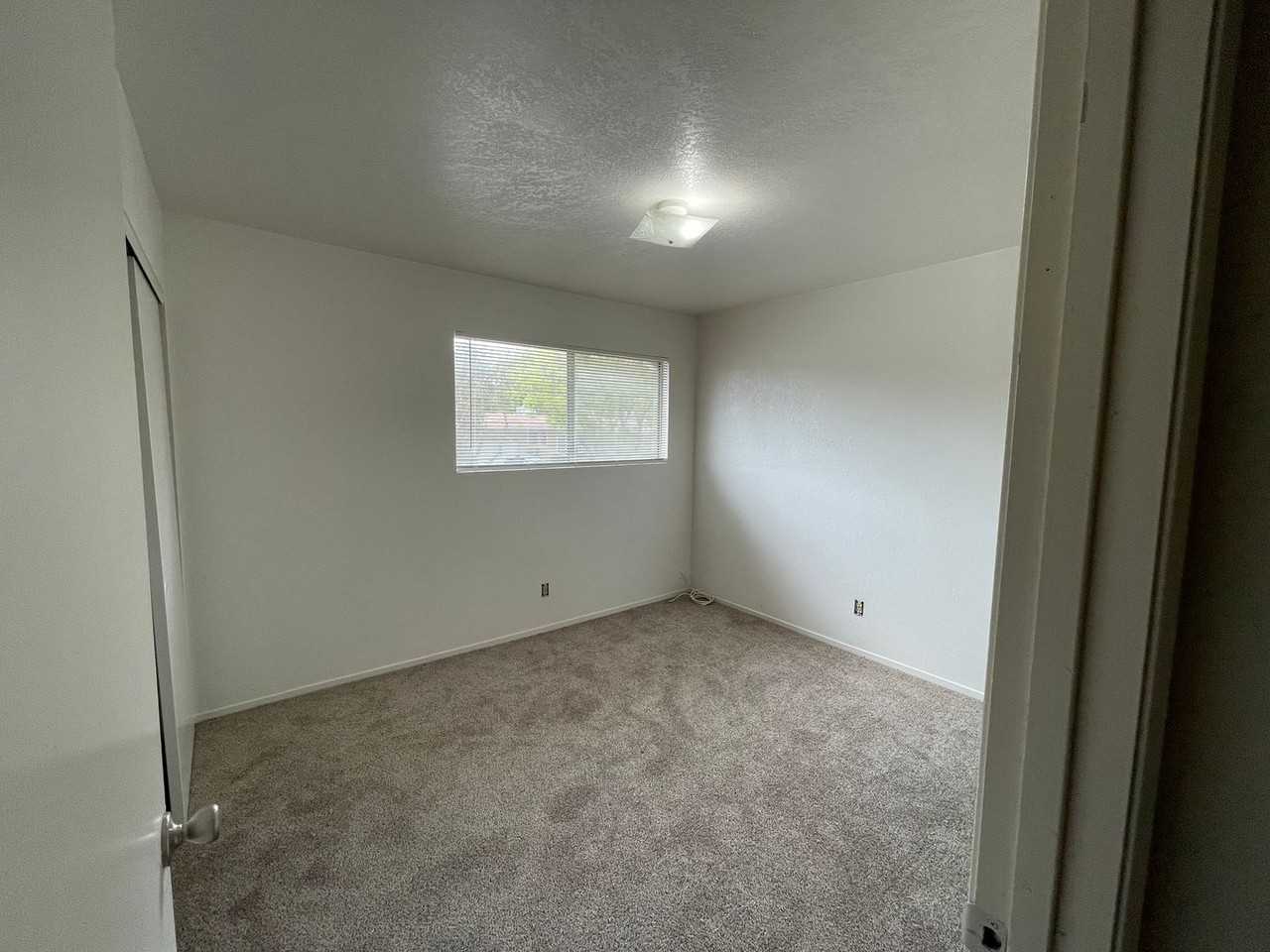 2228 Pine St - Photo 7 of 36