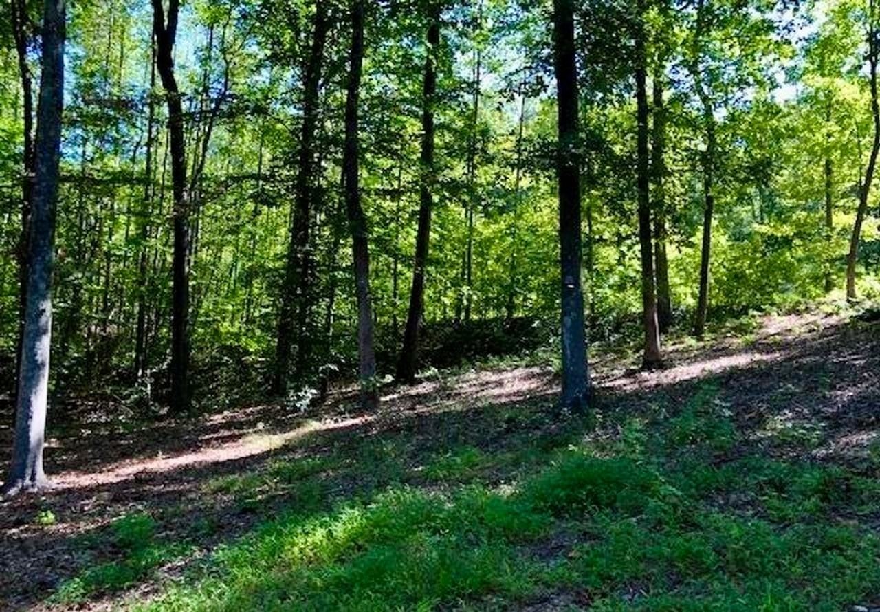 4916 Gold Crest Dr - Photo 4 of 32