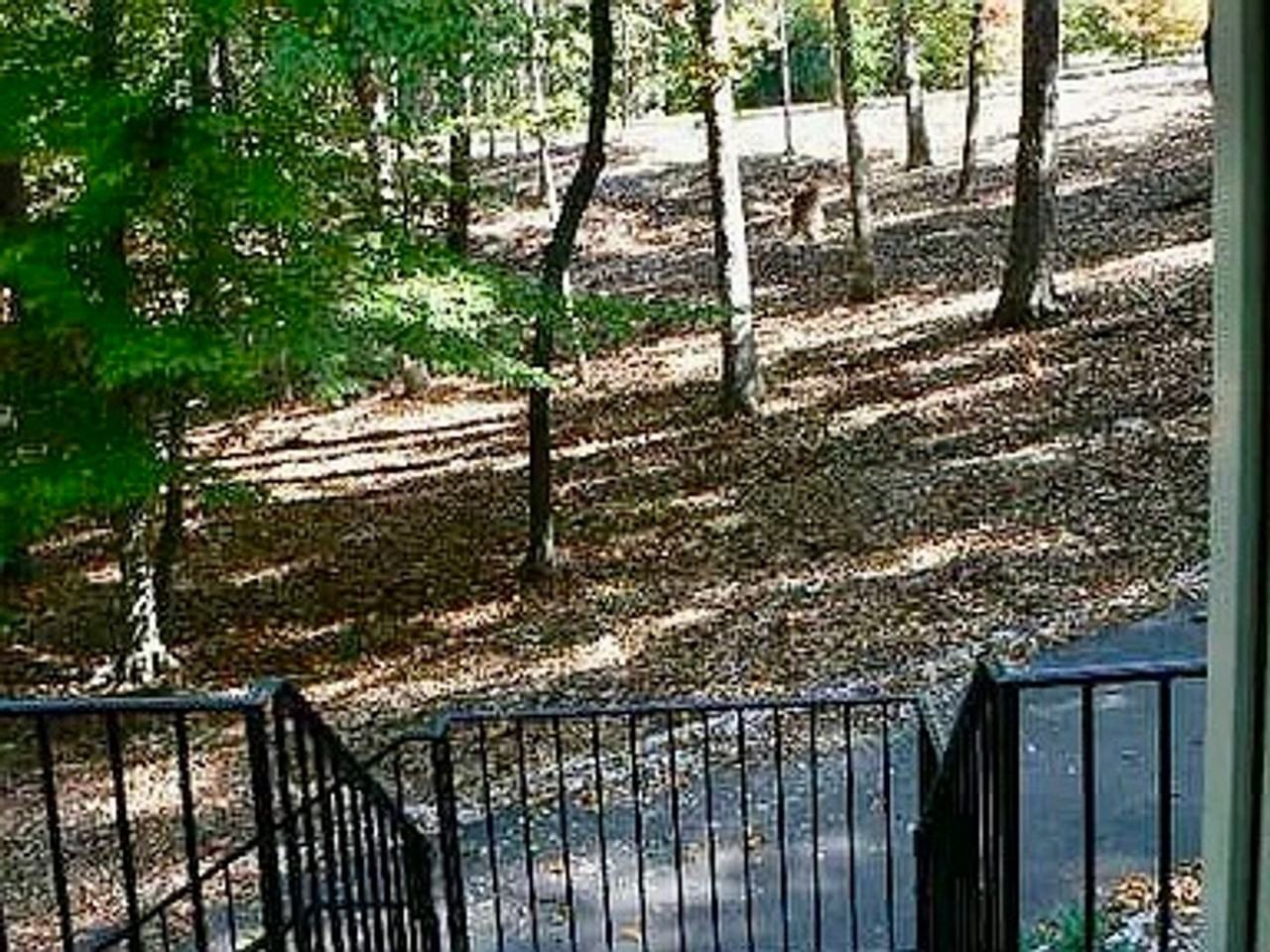 4916 Gold Crest Dr - Photo 6 of 32