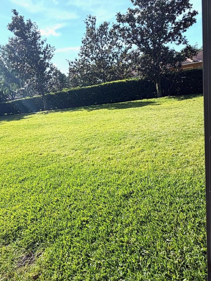 8478 Kelsall Dr #NA - Photo 5 of 23