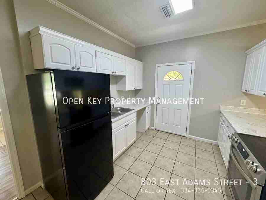 803 E Adams St #3 - Photo 5 of 30