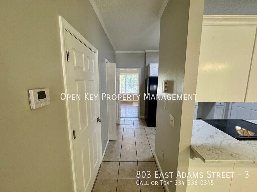 803 E Adams St #3 - Photo 6 of 30