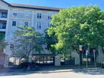 2002 Greene St #408 - Photo 1 of 1