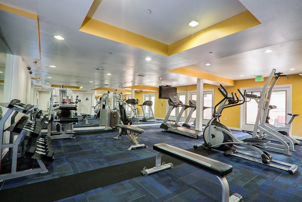 Allegro - Photo 5 of 37