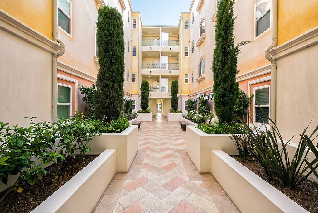 Allegro - Photo 6 of 37